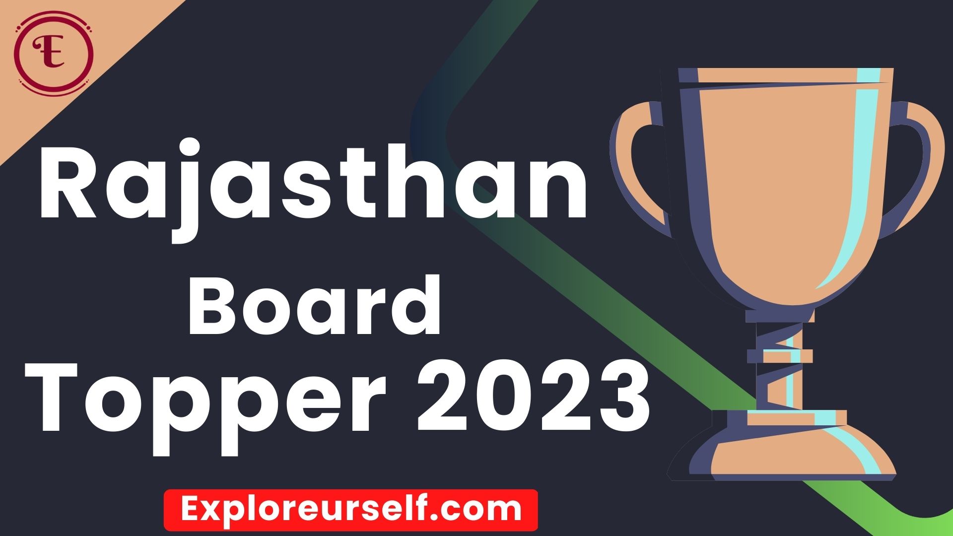 Rajasthan Board 10th Topper 2023 RBSE District Wise Topper List PDF